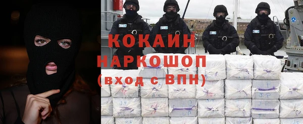 гашик Кулебаки