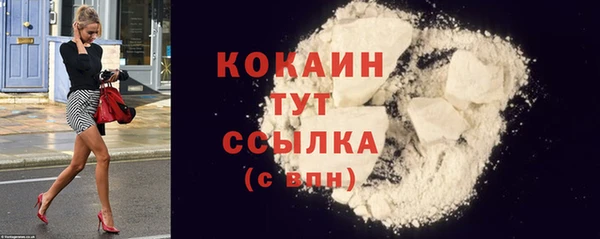 гашик Кулебаки