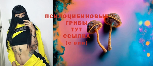 соль курить ск Краснослободск