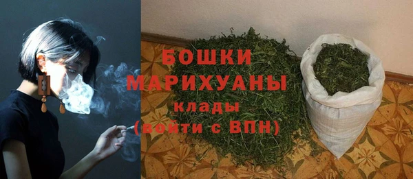 гашик Кулебаки