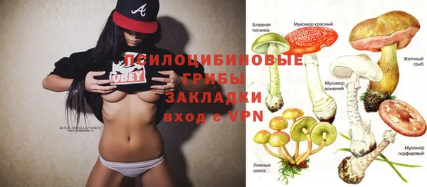 гашик Кулебаки