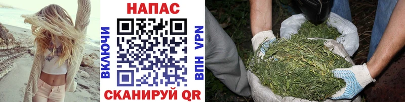 Купить закладки  Каргат  Бошки марихуана SATIVA & INDICA 